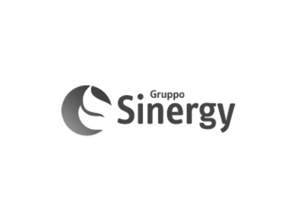 logo_grupposinergy